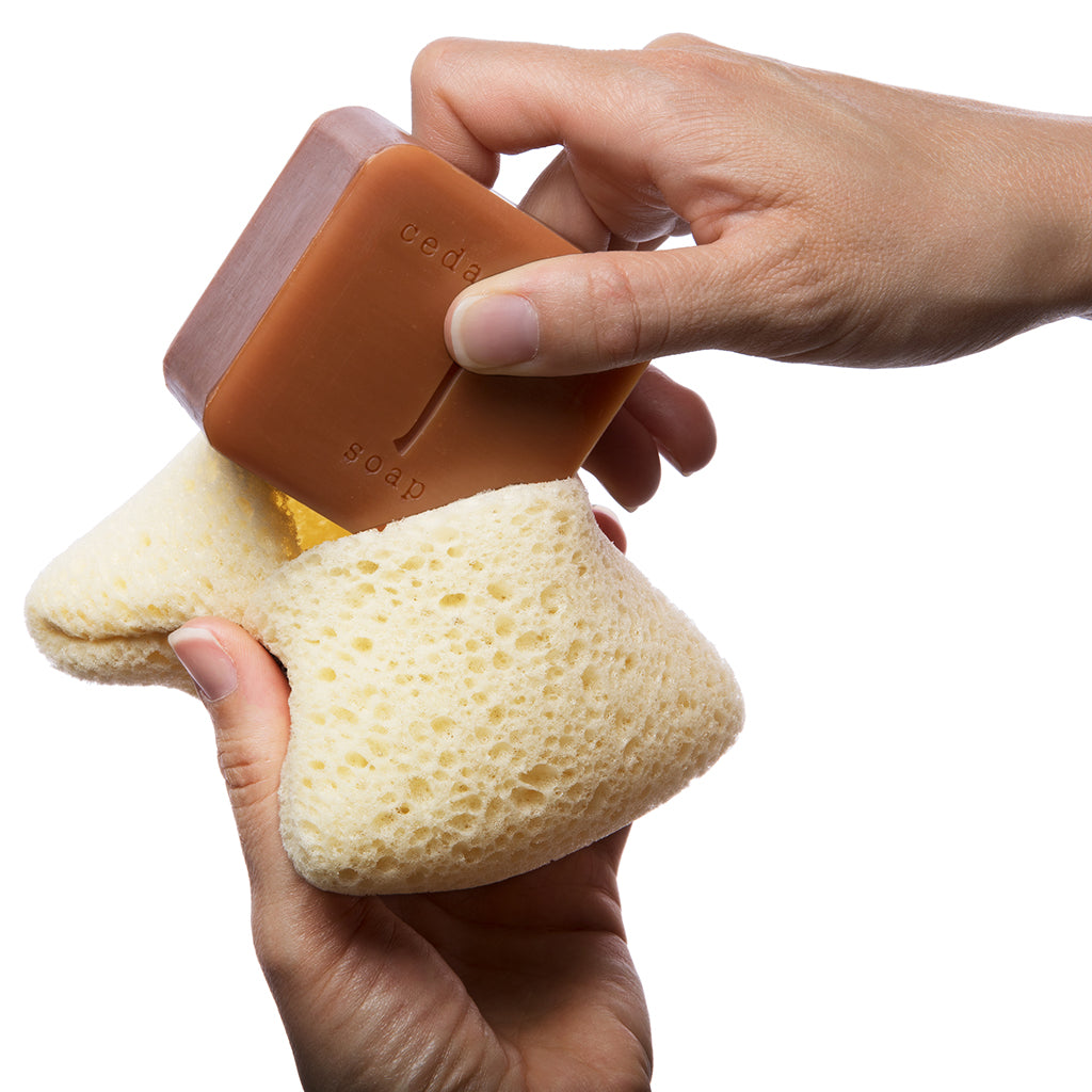 EXFOLIATING BODY SHOWER SPONGE WITH SOAP POCKET
